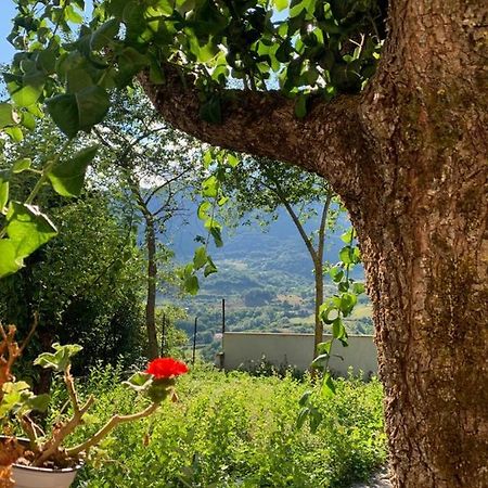 B&B Al San Francesco Castel Di Sangro Zewnętrze zdjęcie